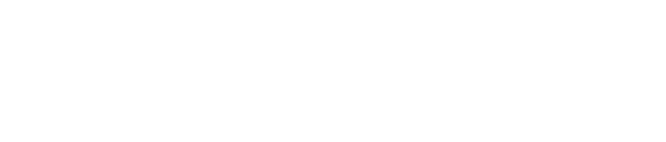 Pivotal Partners